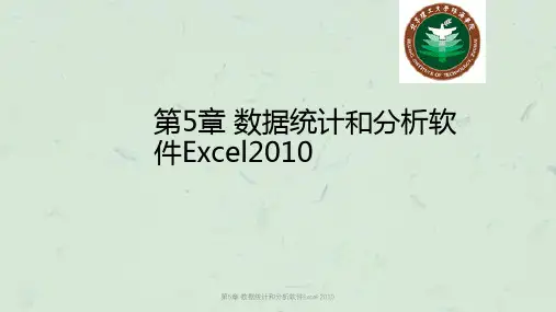 第5章 数据统计和分析软件Excel 2010课件