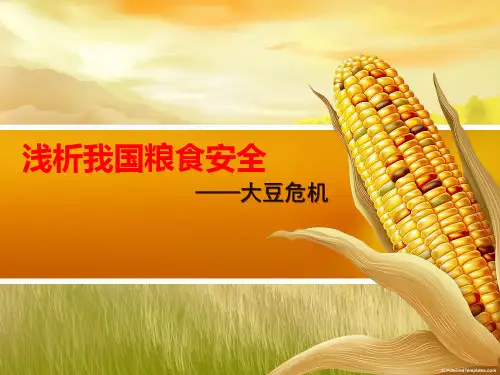 大豆危机  粮食安全