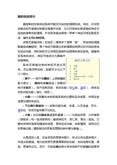 脑的组成部分
