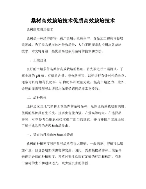 桑树高效栽培技术优质高效栽培技术