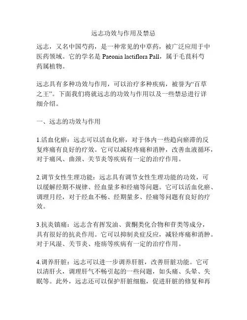 远志功效与作用及禁忌