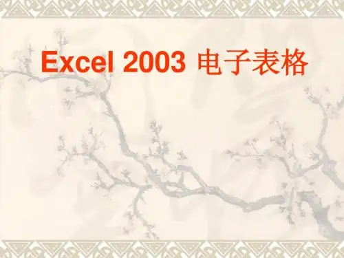 Excel 2003 电子表格