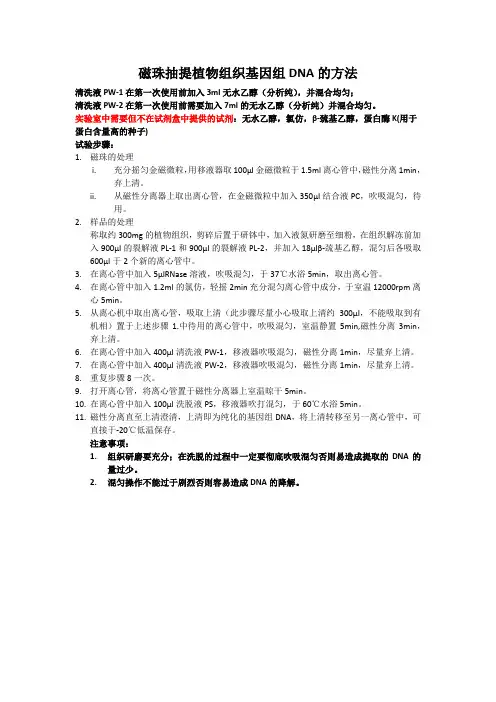磁珠抽提的方法