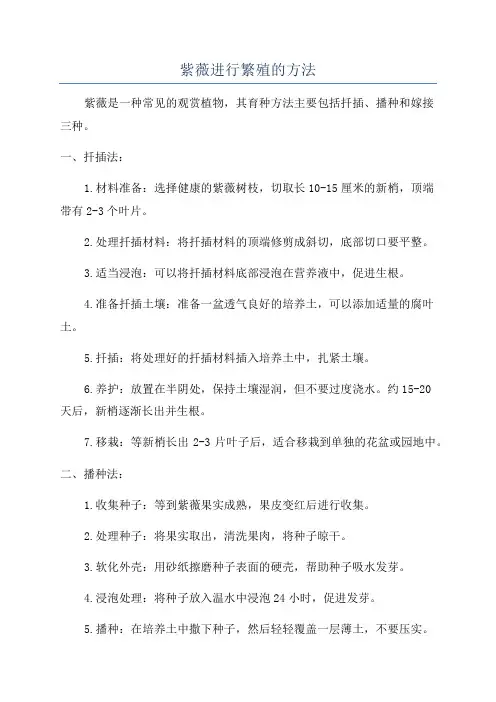 紫薇进行繁殖的方法
