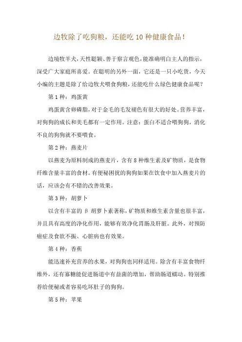 边牧除了吃狗粮,还能吃10种健康食品!
