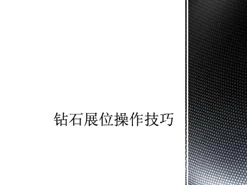 钻石展位操作技巧概论