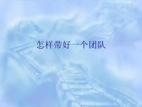 怎样带好一个团队