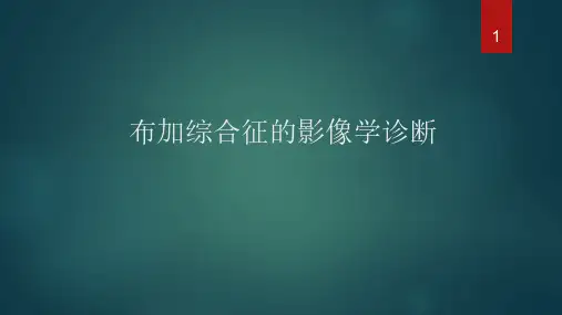 布加综合征医学课件