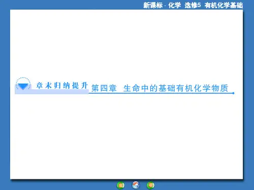 人教版有机化学选修五第四章生命中的基础有机化学物质归纳总结