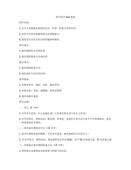 初中化学nacl教案