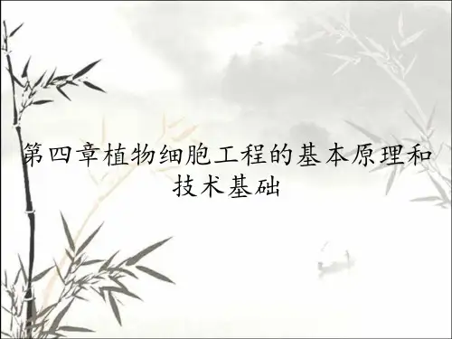 第四章植物细胞工程的基本原理和技术基础