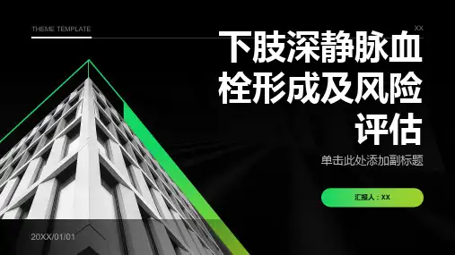 下肢深静脉血栓形成及风险评估