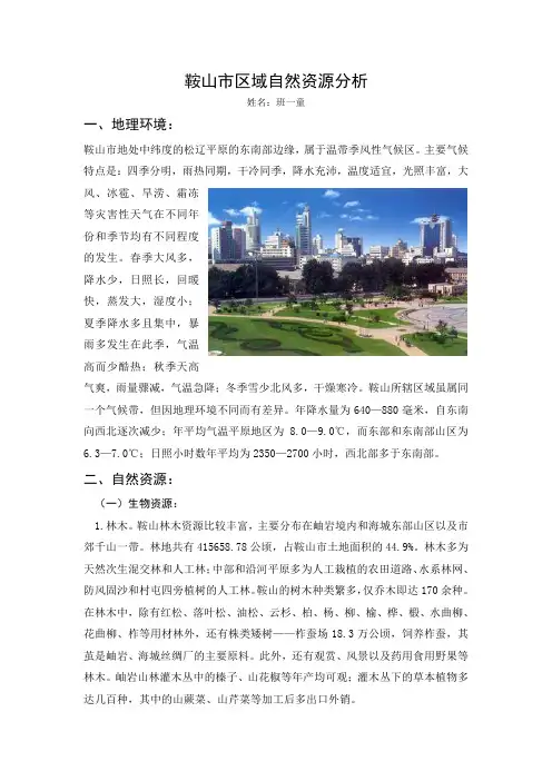 鞍山市区域自然资源分析