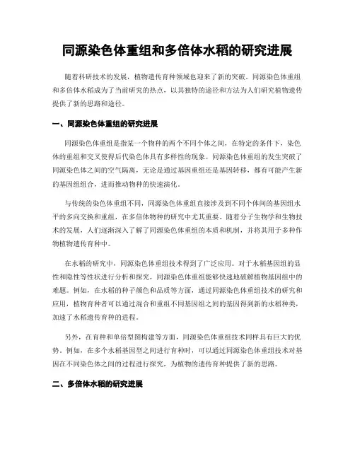同源染色体重组和多倍体水稻的研究进展