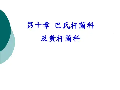 兽医微生物学课件- 巴氏杆菌科及黄杆菌科