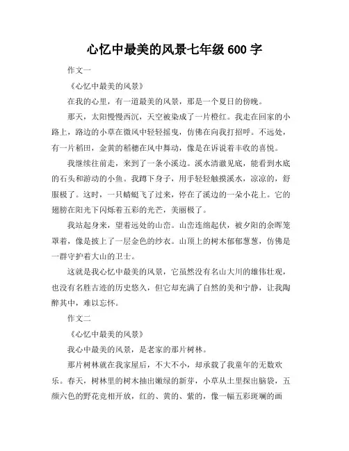心忆中最美的风景七年级600字