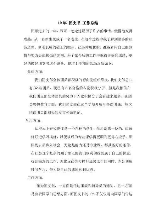 09年 团支书 工作总结