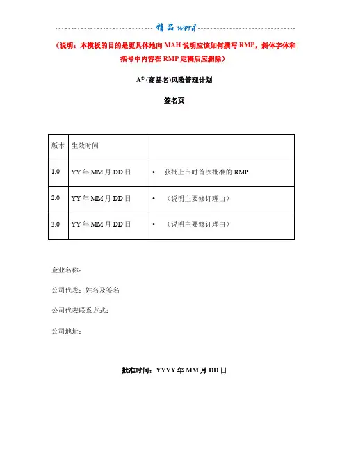 风险管理计划模板03429