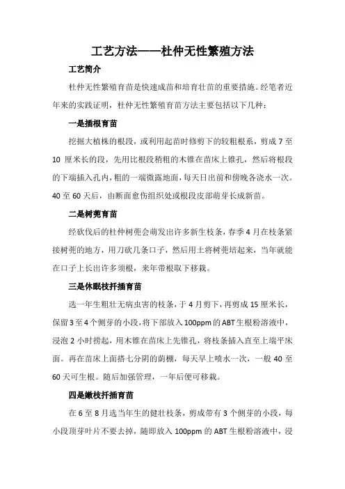 工艺方法——杜仲无性繁殖方法