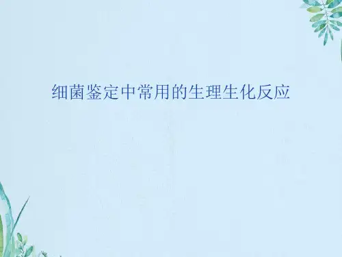 细菌鉴定中常用的生理生化反应