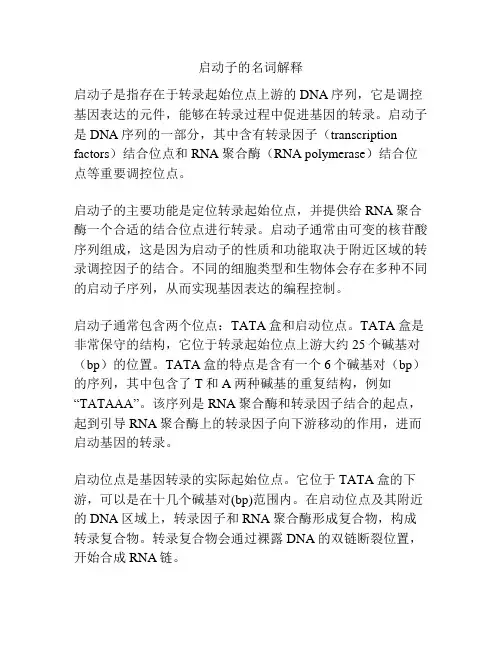 启动子的名词解释