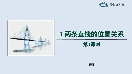 北师大版七年级下册数学《两条直线的位置关系》相交线与平行线培优说课教学复习课件 (2)