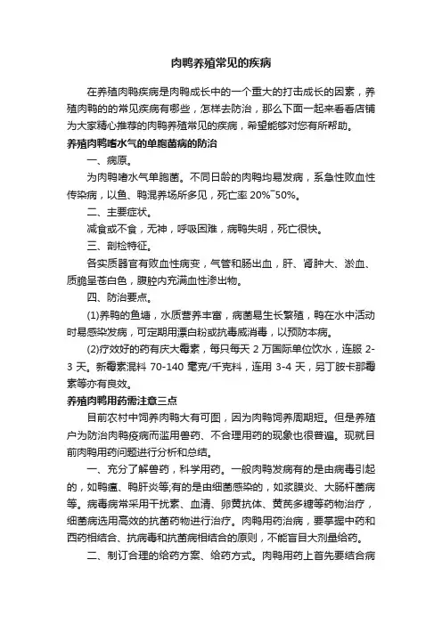 肉鸭养殖常见的疾病