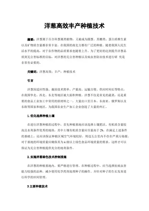 洋葱高效丰产种植技术