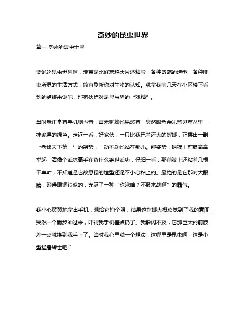 作文《奇妙的昆虫世界》