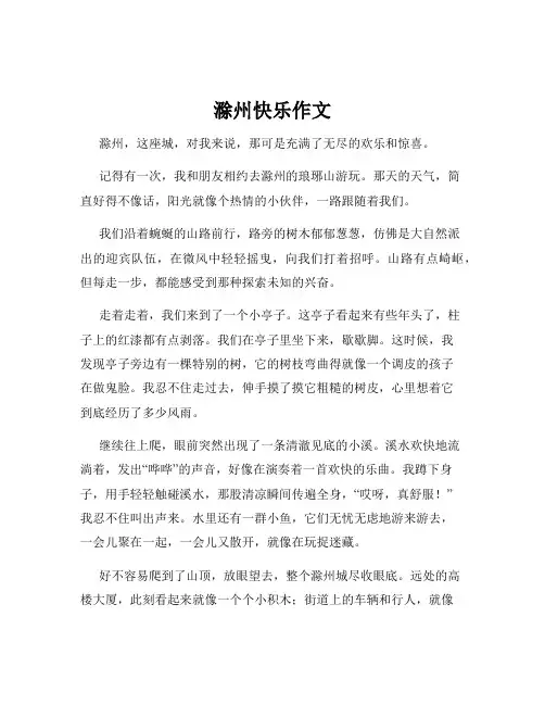 滁州快乐作文