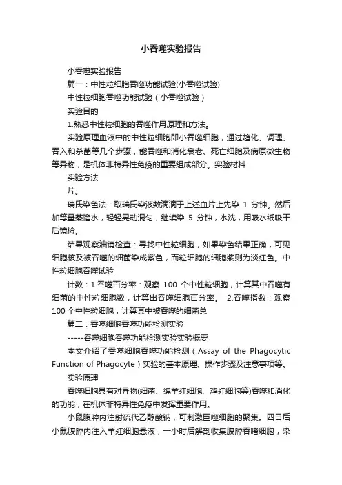 小吞噬实验报告