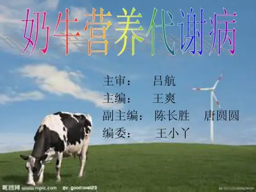 奶牛营养代谢病