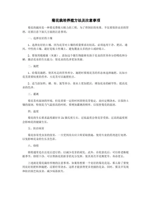 菊花栽培养殖方法及注意事项