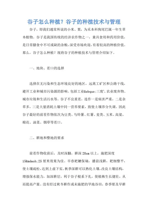 谷子怎么种植？谷子的种植技术与管理