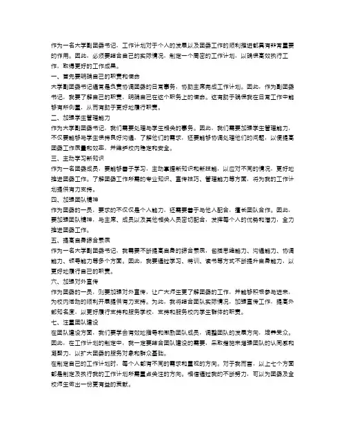 大学副团委书记个人工作计划