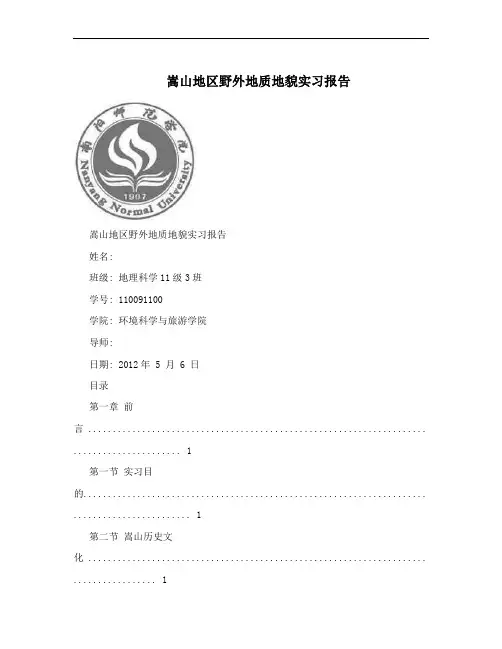 嵩山地区野外地质地貌实习报告
