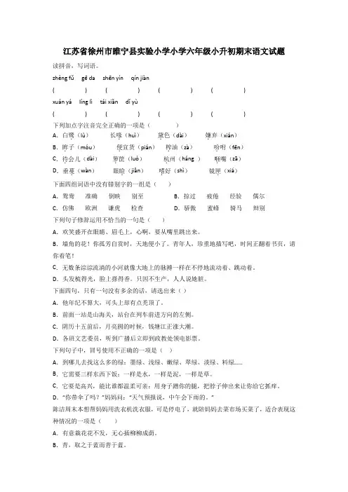 江苏省徐州市睢宁县实验小学小学六年级小升初期末语文试题