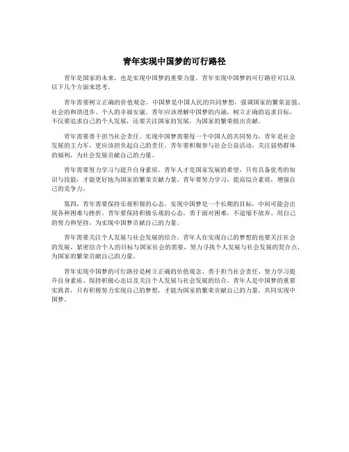 青年实现中国梦的可行路径