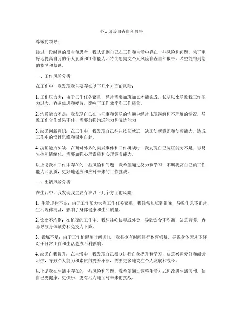 个人风险自查自纠报告