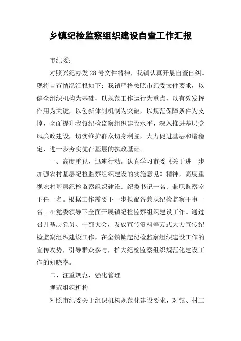 乡镇纪检监察组织建设自查工作汇报