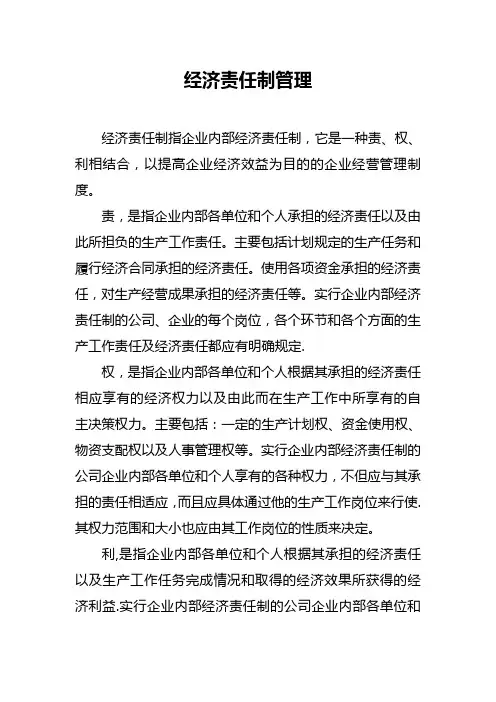 经济责任制管理