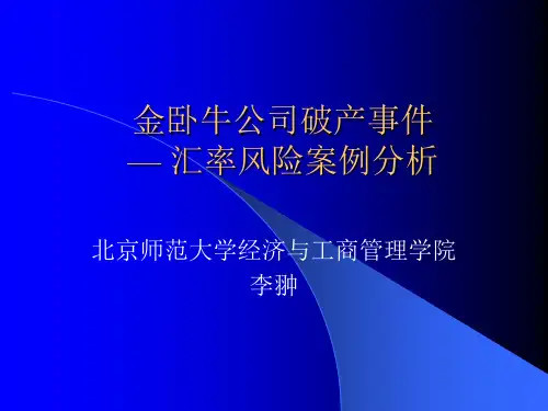 案例：汇率风险