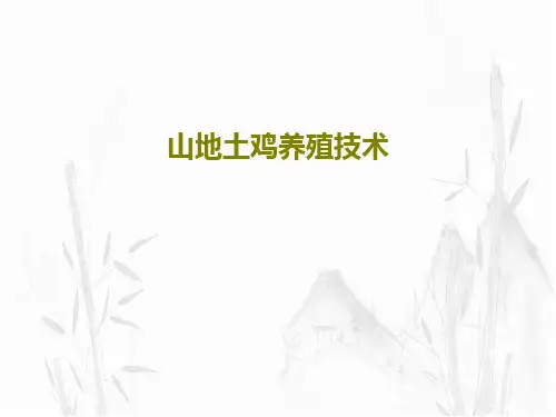 山地土鸡养殖技术53页PPT