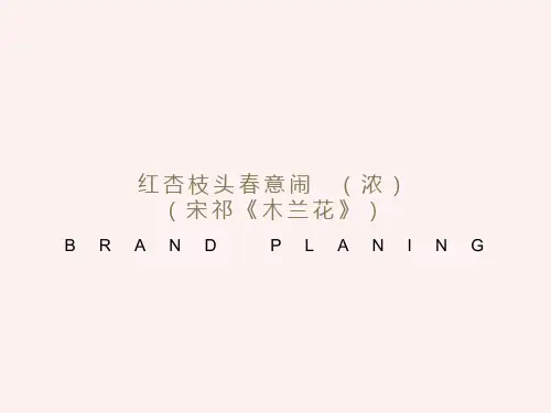 《咬文嚼字》文ppt