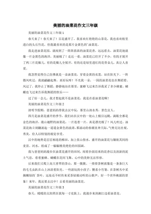 美丽的油菜花作文三年级