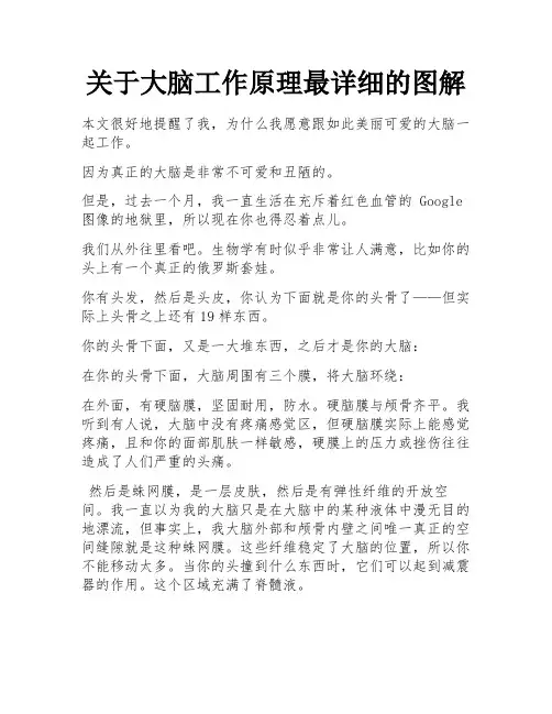 关于大脑工作原理最详细的图解 