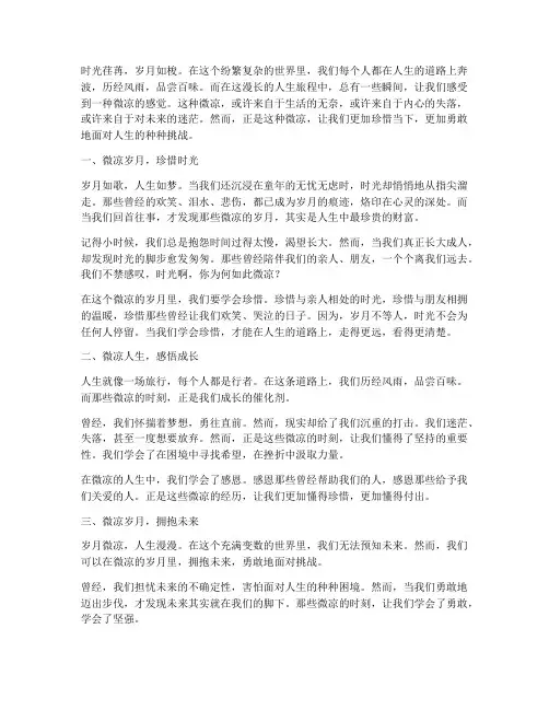 人生微凉的感言