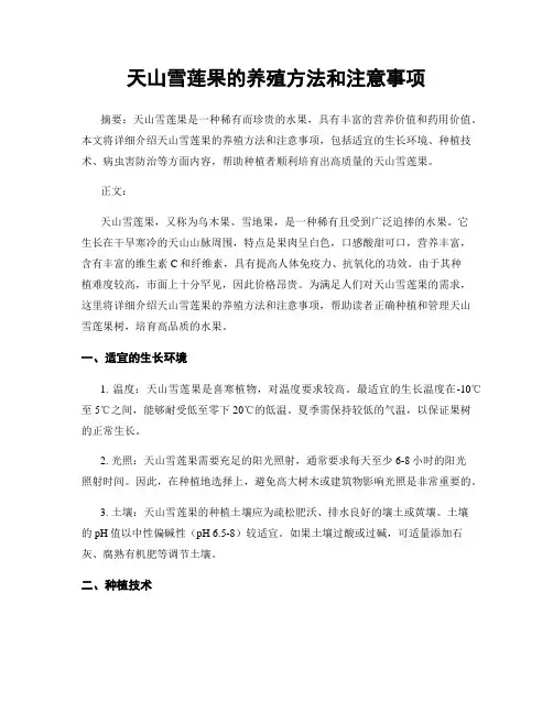 天山雪莲果的养殖方法和注意事项