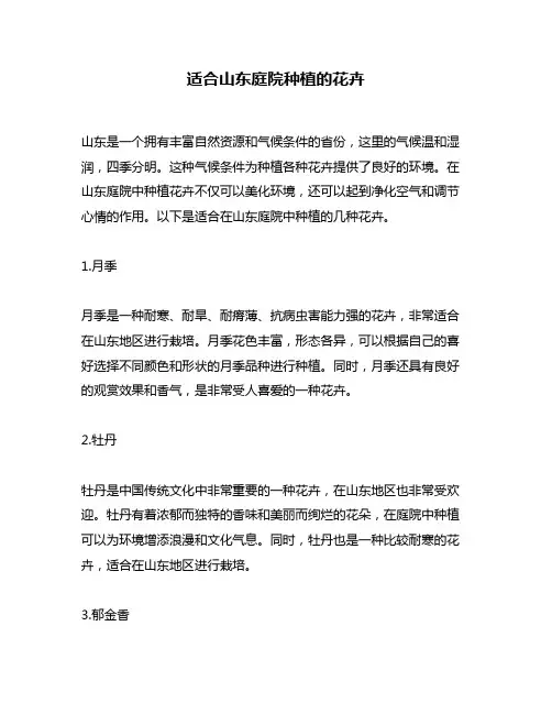 适合山东庭院种植的花卉