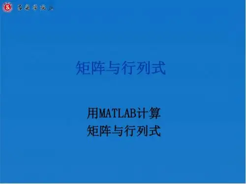 用MATLAB计算矩阵与行列式教材